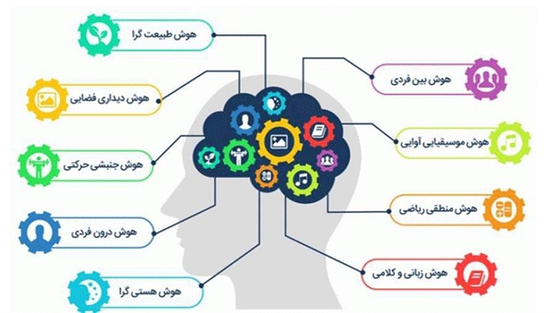 هوش های چندگانه و موفقیت