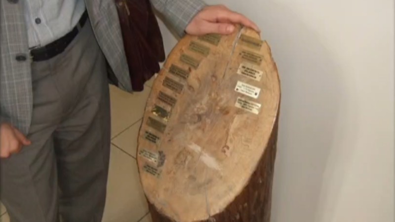 یادگار بر کنده درخت