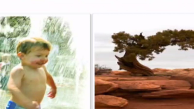 تاب آوری، مهارت همیشگی