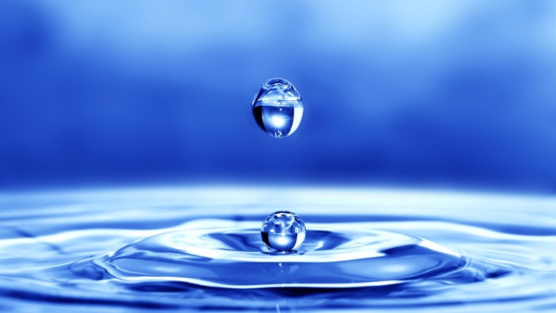 مردمان خردمند